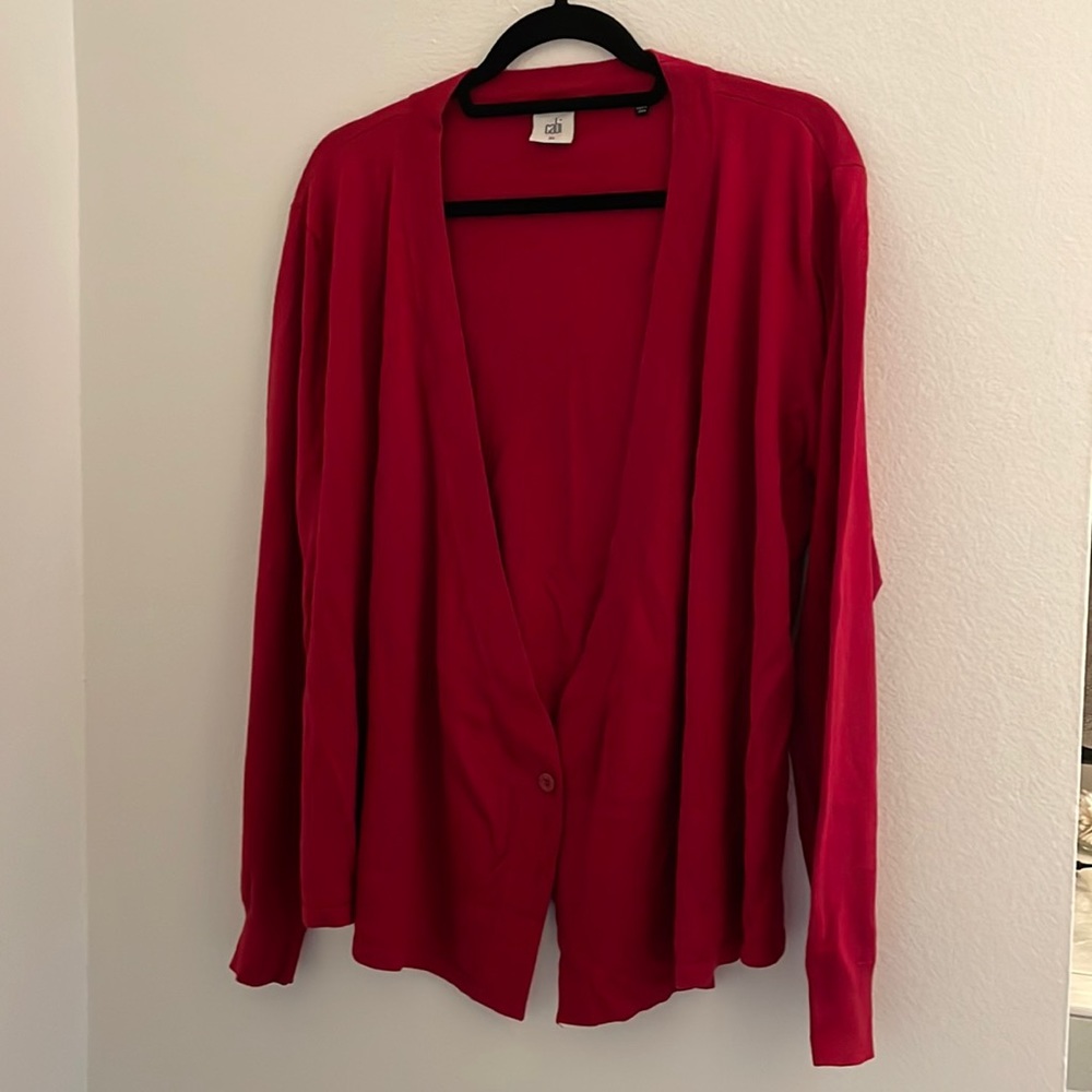 CAbi sweater
